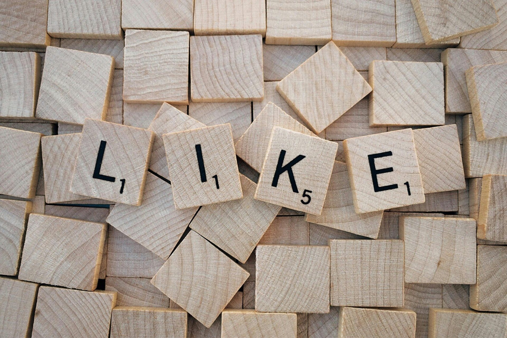 Gestione social Veddozzo